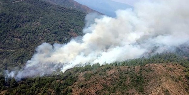 Bakan'dan orman yangınına ilişkin açıklama