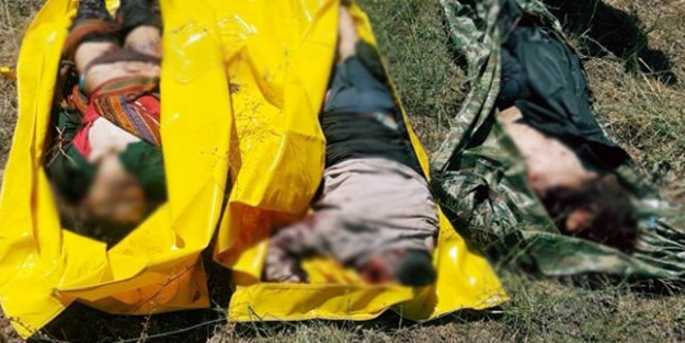 Bakanlık açıkladı: Bingöl'de 3 PKK'lı öldürüldü