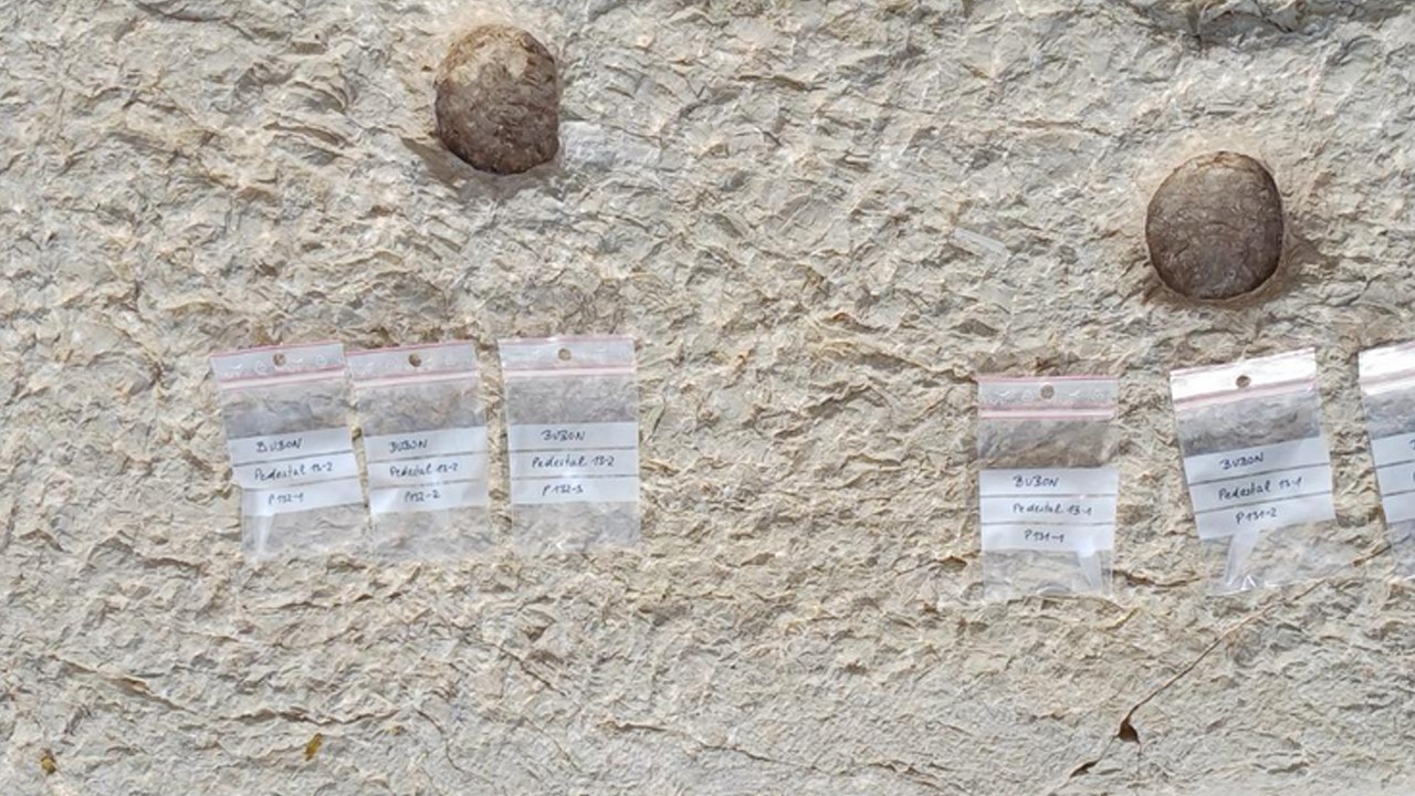 Bakanlık açıkladı! Macrus Aurelius Türkiye’de: 65 yıllık hasret sona erdi…