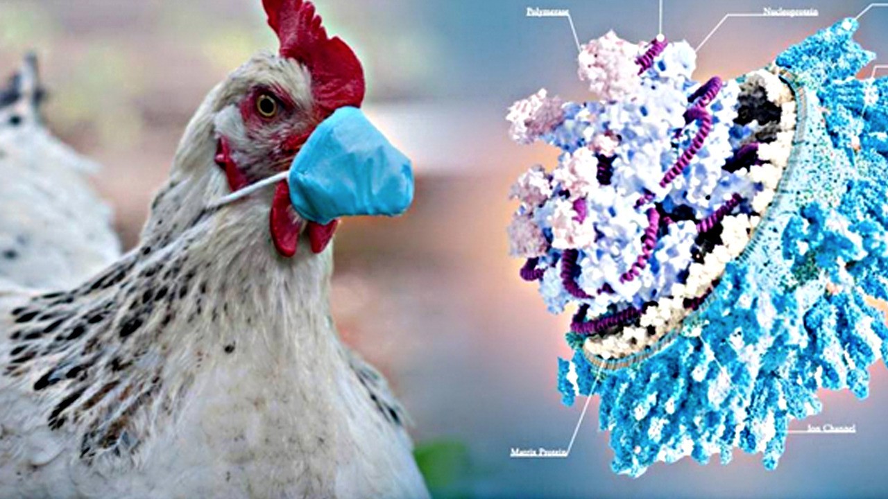 Bakanlık peş peşe ilk kez açıkladı: Çin'e kapılar kapatıldı