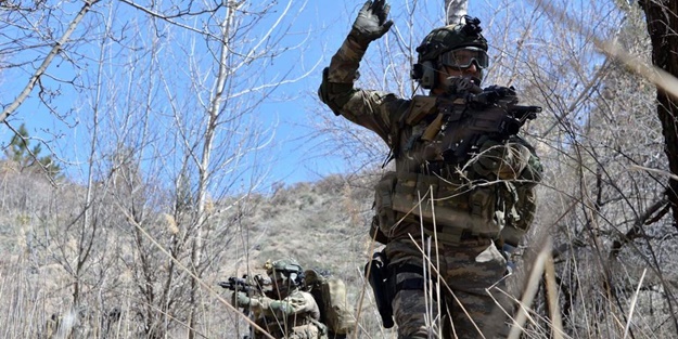 Bakanlık duyurdu: Etkisiz hale getirildiler