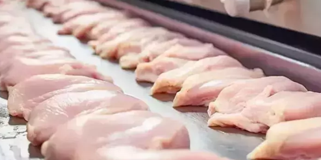 Bakanlık harekete geçmişti! Tavuktaki fiyat artışının nedeni belli oldu...