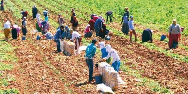Arazi bankası kuruluyor