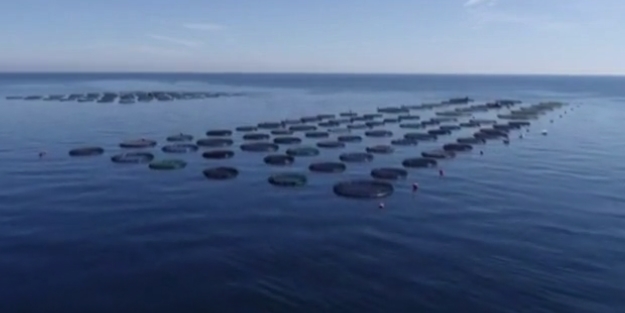 Bakanlık üretimi için harekete geçmişti... Salgın sonrası talep patlaması!