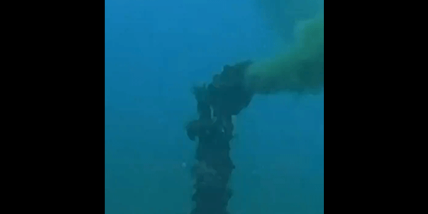 Bakanlık yayınladı: CHP'li belediye suçüstü yakalandı!