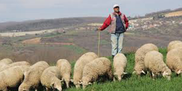 Bakanlıklar seferber oldu ! Acil çalışacak 150 bin kişi aranıyor