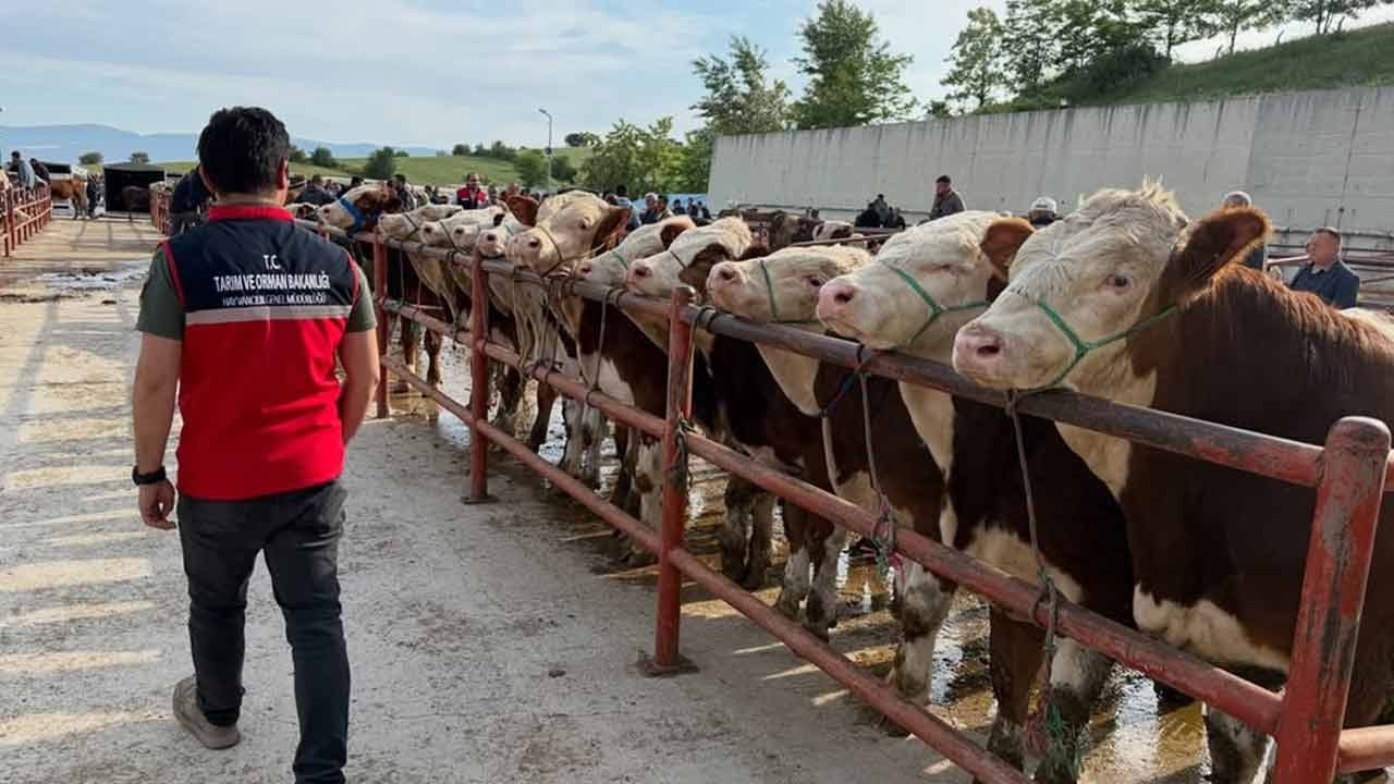 Bakanlıktan “14 kişilik baskın” iddiasına yalanlama