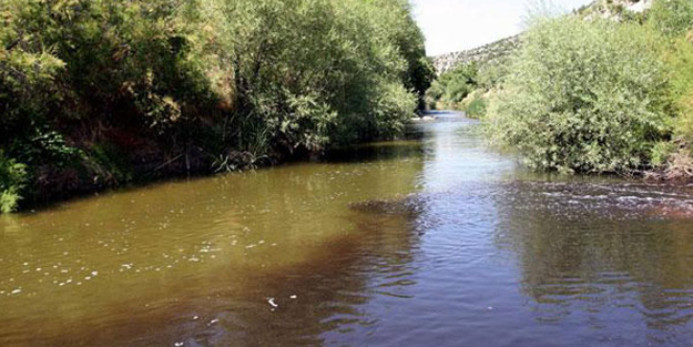 Tarım ve Orman Bakanlığı'ndan Gediz Nehri açıklaması