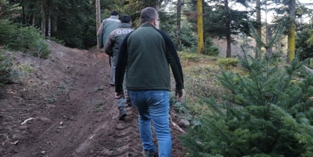 Bakanlıktan 'noel' önlemi: Ağaç katliamına karşı tam saha seferberlik!