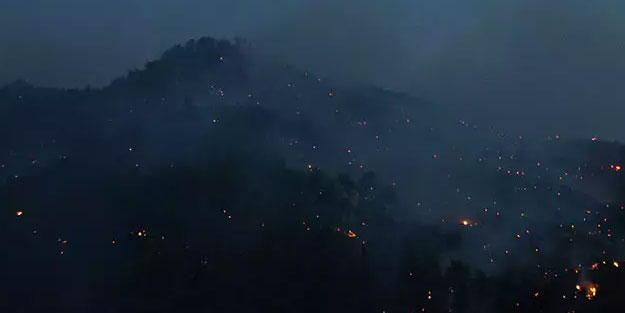 Bakanlıktan orman yangınları açıklaması