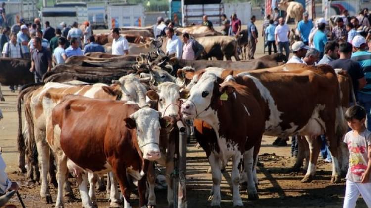 Bakanlıktan uyarı: Bunları yapanları şikayet edin