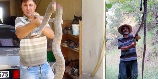 Bakanlıktan uyarı: Sakın öldürmeyin