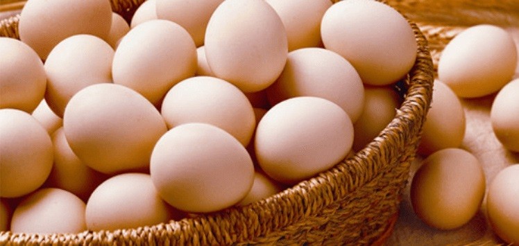 Bakanlıktan yumurta fiyatlarıyla ilgili flaş karar