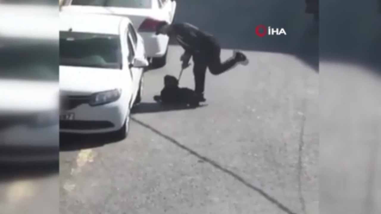 Bakımını üstlenmişti! Köpeği darp eden sanığa para cezası