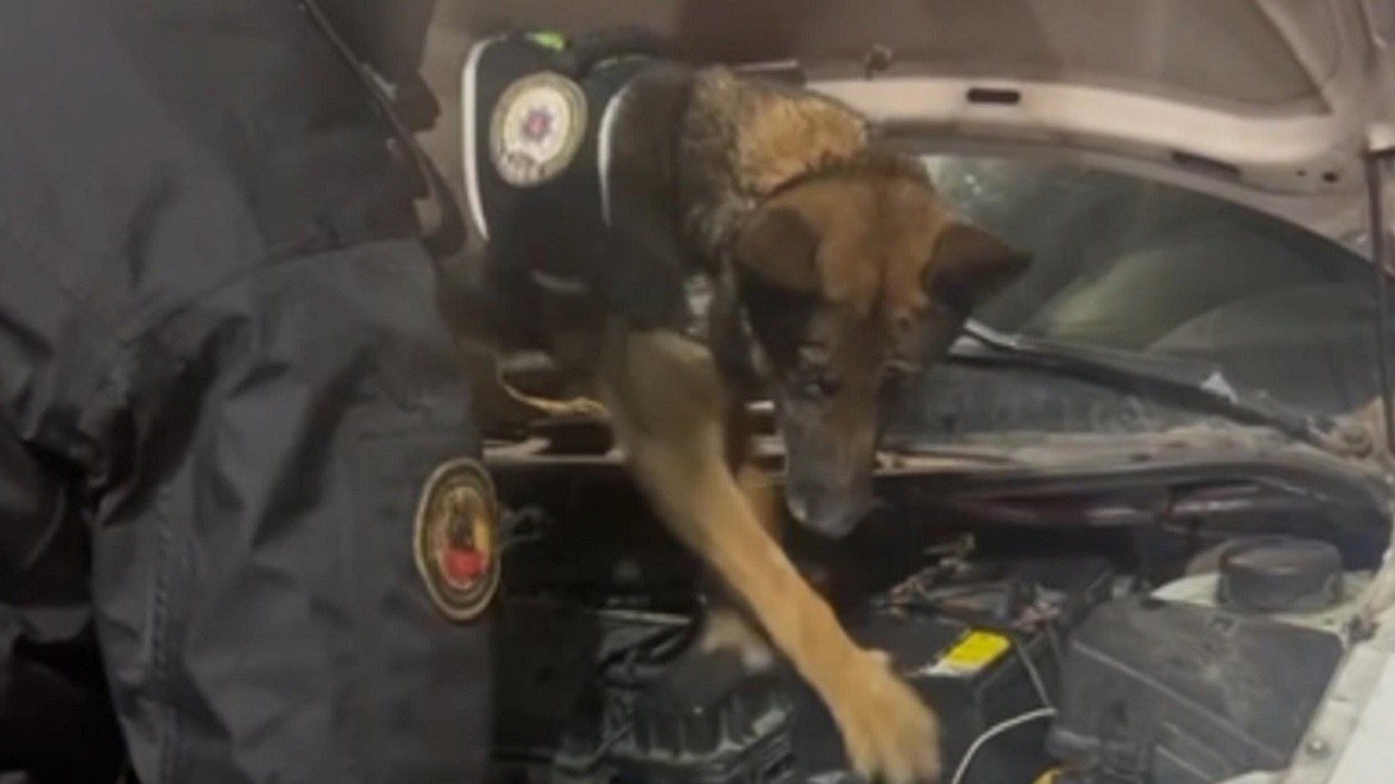 Bakın akünün içerisine ne gizlemişler!