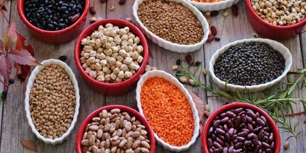 Bakın bize neler yedirmişler!