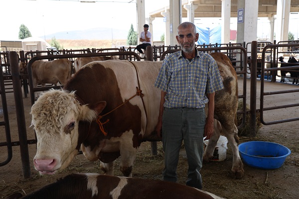 Bakın bu tosun pazarın en pahalısı