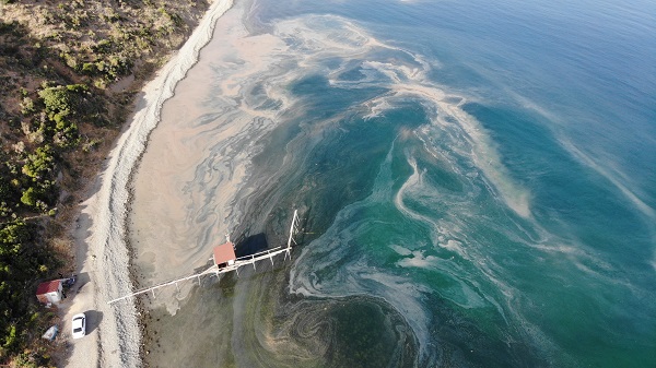 Bakın denizin rengi niye turuncuya döndü!