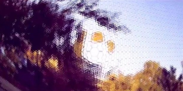 Bakın hayvanlar nasıl görüyor... - FOTO