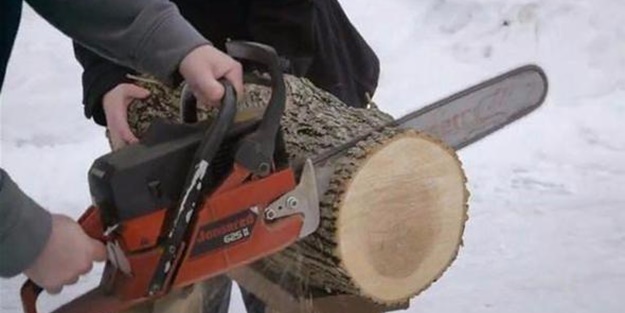 Bakın kütüğü adım adım neye dönüştürdü!