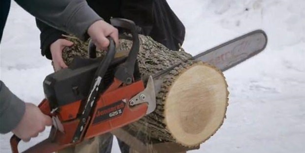 Bakın kütükle ne yaptı!