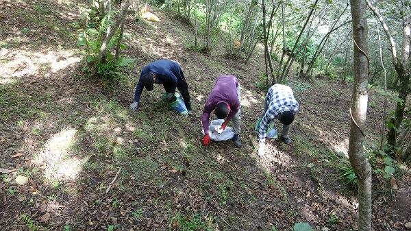 Bakın orada ne yapıyorlar! Afrikalı öğrenciler o ilimize akın etti!