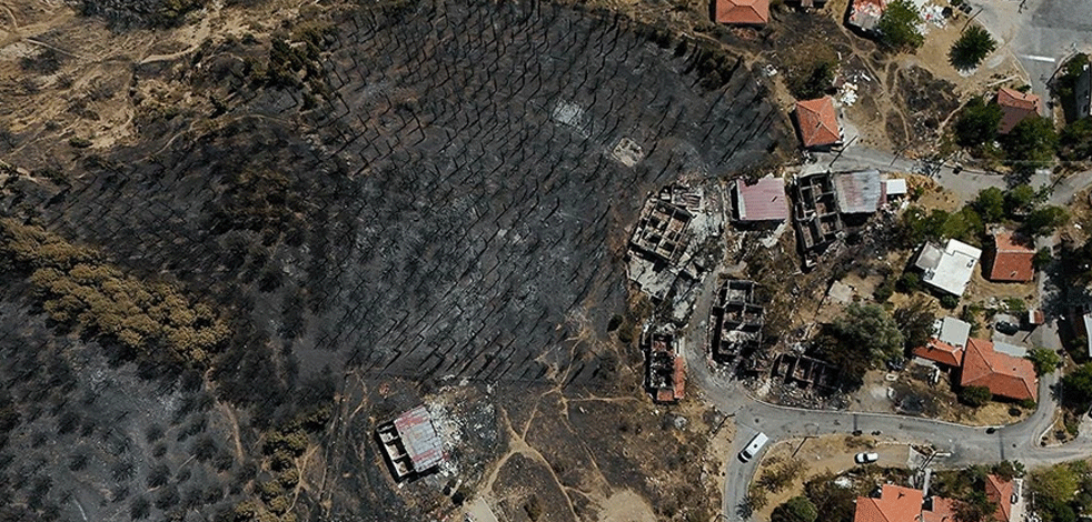 Bakın ormanları kim yakmış! 2 bin 159 hektar alan kül olmuştu