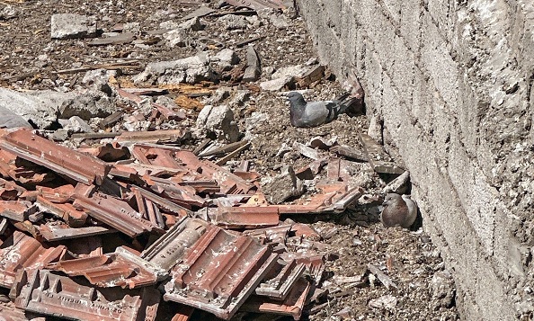 Bakın yıkım niye durdurulmuş!