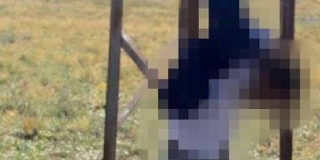 Bakkal Mevlüt Bengi'nin katilleri bulundu! 2'si öldürüldü 1'i sağ ele geçirildi