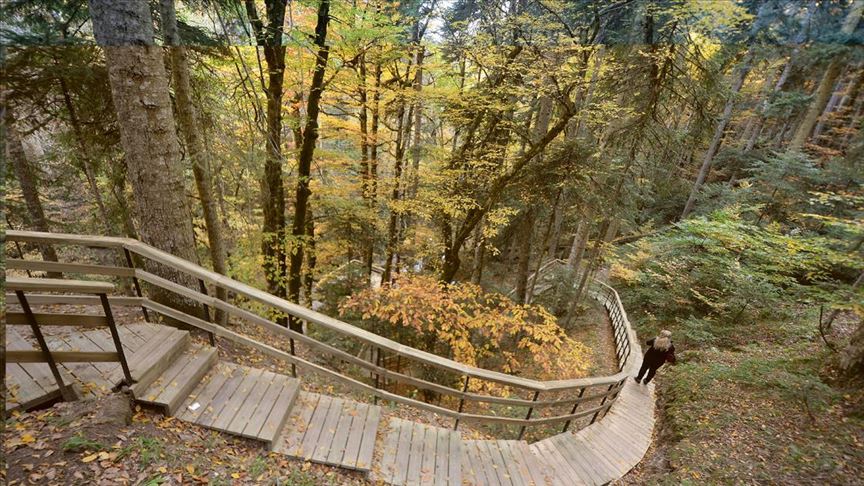 Baklabostan Tabiat Parkı'nda sonbahar güzelliği