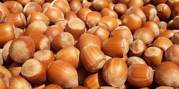 Baklava-fıstık tartışmaları sürerken bir uyarı da fındıktan geldi