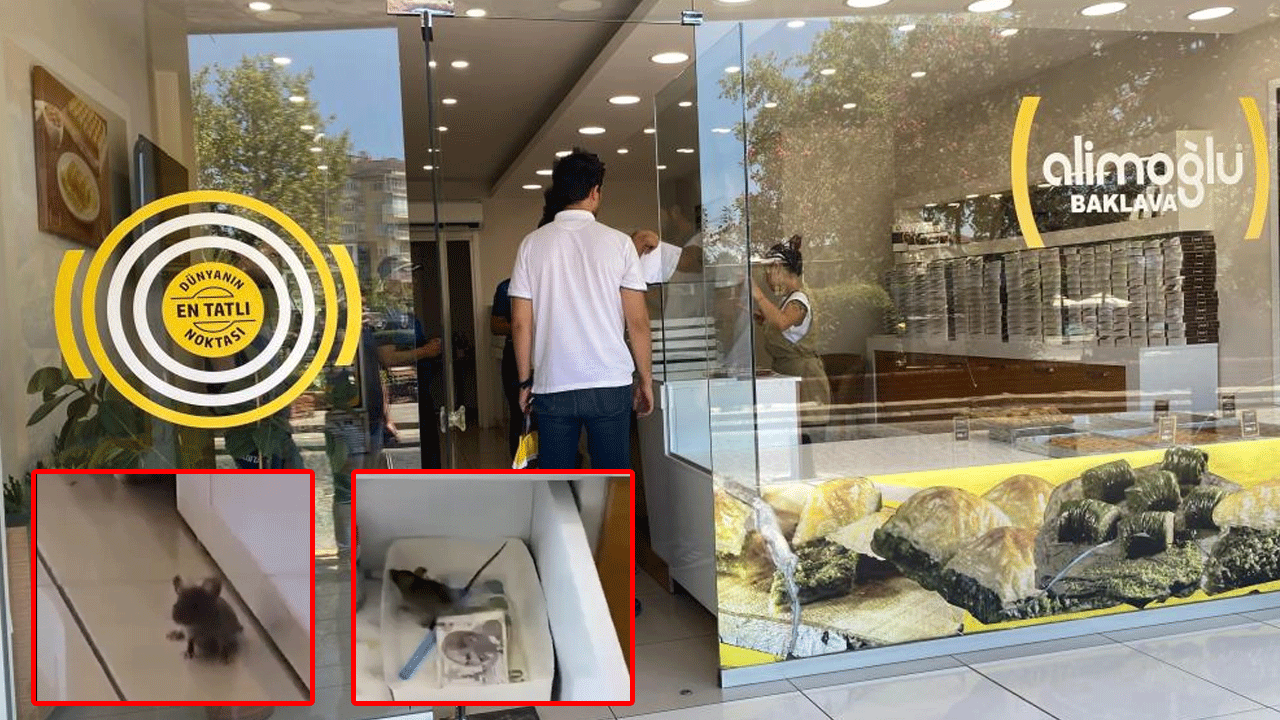 Baklavacıda mide bulandıran görüntü