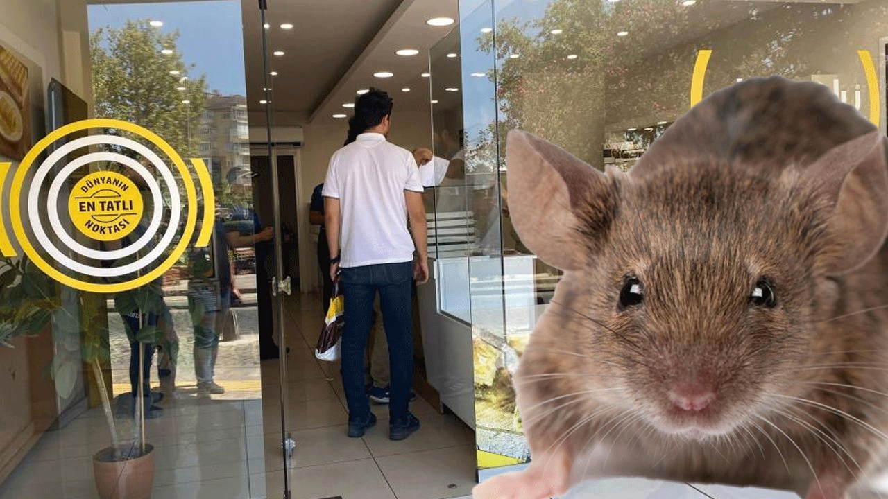 Baklavacıda mide bulandıran görüntüler! Fare skandalı sonrası ürünlere el konuldu