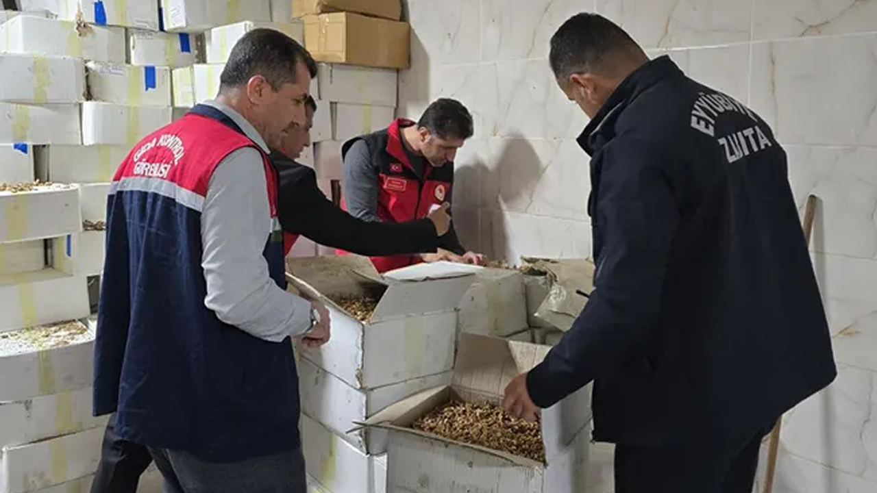 Baklavalara konulan tonlarca küflü ve kurtlu ceviz ele geçirildi!