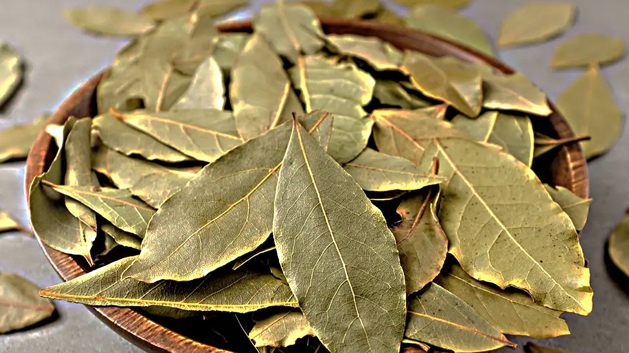 Bakliyatların böceklenmesini engelliyor: Kavanozun içine 1 tane koyun!