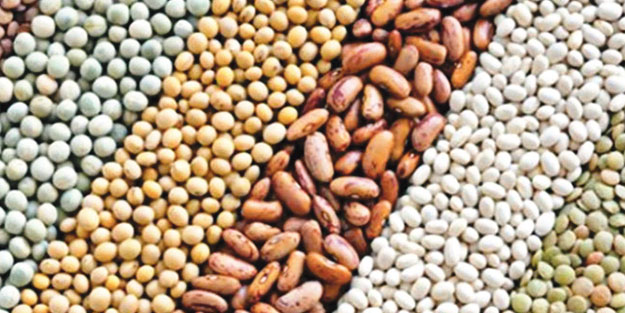 Bakliyatta market fiyatlarında düşüş sağladık