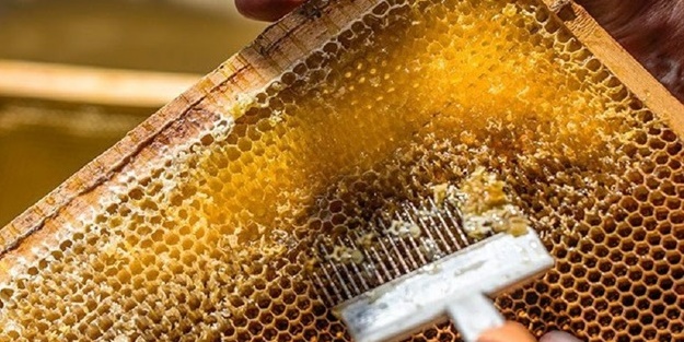 Bal gerçeği ortaya çıktı! Bal üreticisi 'kesin' deyip söyledi 'eğer 100 liraysa...'