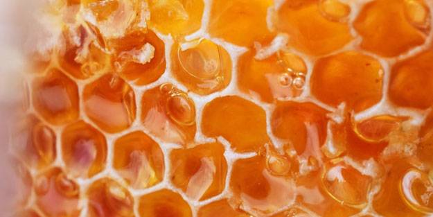 Bal hakkında doğru bilinen 10 yanlış