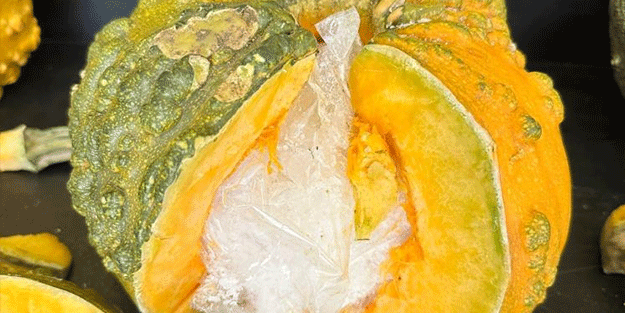 Bal kabakları içerisinde 14 kilo uyuşturucu ele geçirildi