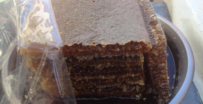 Bal kış aylarında şifa kaynağı oldu