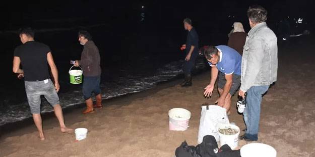 Balığa hücum! Tonlarcası ayaklarına geldi