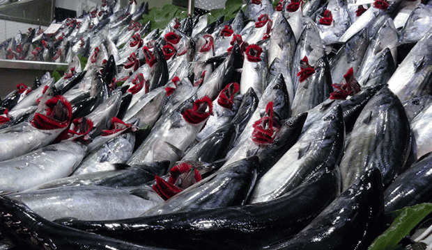 Balığa yoğun talep fiyatları yükseltti!