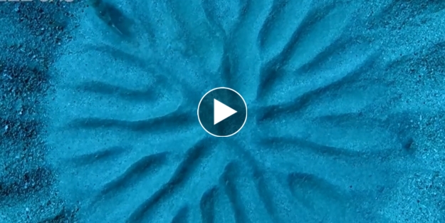 Balığın okyanus dibinde yaptığı şaheser böyle görüntülendi