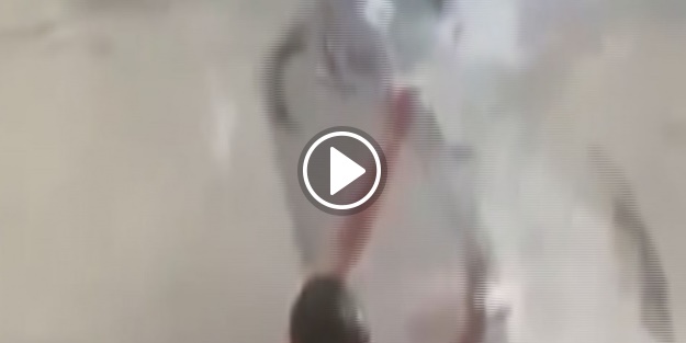 Balık akını kameraya yansıdı