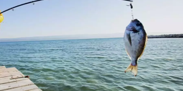 Balık avlayanlara 351 bin lira ceza kesildi