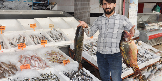 Balık bolluğu balıkçıların yüzünü güldürdü