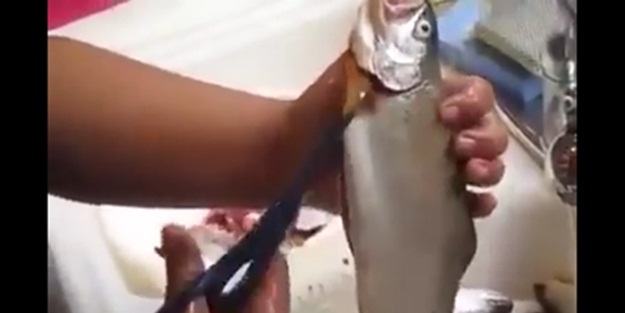 Balık en kolay nasıl temizlenir?