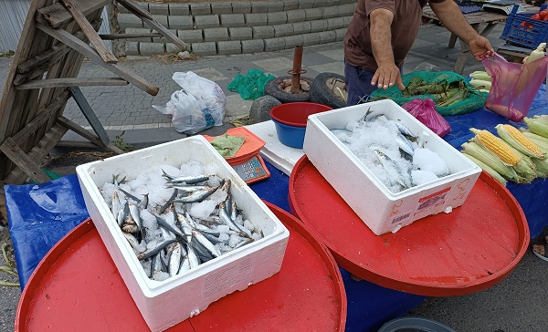 Balık fiyatları düştü mü?