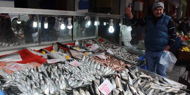 Balık fiyatları el yakıyor