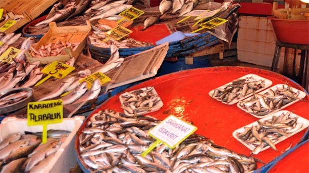 Balık fiyatları ucuzladı